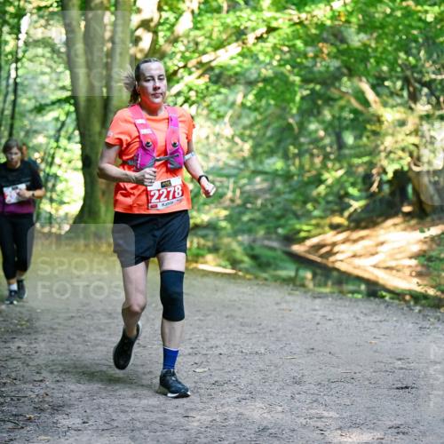 28.09.2025 - 33. Volkslauf durch das schöne Alstertal Dr. Thomas Lammeyer http://msf.ph/oto/8956345 28.09.2025 10:44:40 Laufen 2278 meine-sportfotos.de