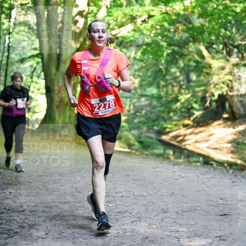 28.09.2025 - 33. Volkslauf durch das schöne Alstertal Dr. Thomas Lammeyer http://msf.ph/oto/8956347 28.09.2025 10:44:40 Laufen 2278 meine-sportfotos.de