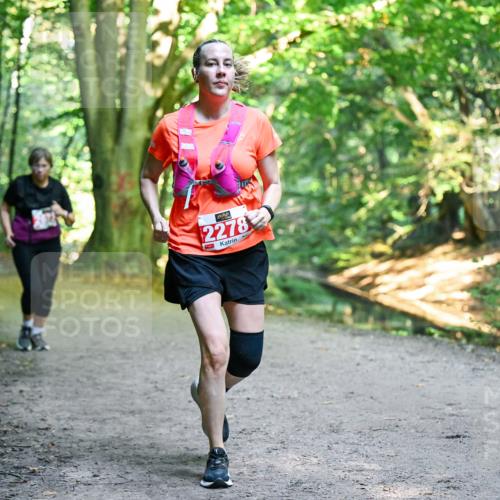 28.09.2025 - 33. Volkslauf durch das schöne Alstertal Dr. Thomas Lammeyer http://msf.ph/oto/8956348 28.09.2025 10:44:40 Laufen 2278 meine-sportfotos.de