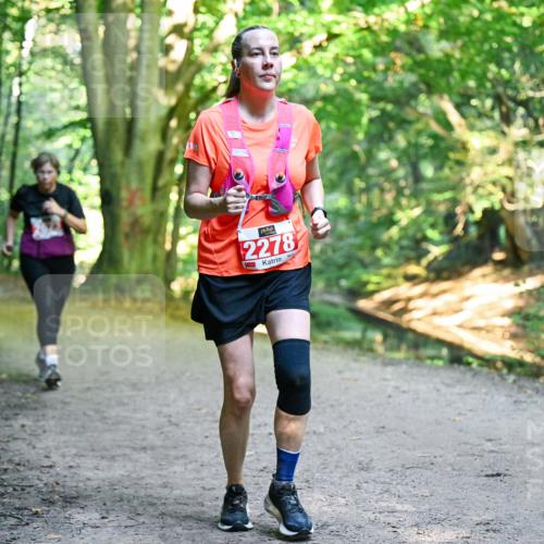 28.09.2025 - 33. Volkslauf durch das schöne Alstertal Dr. Thomas Lammeyer http://msf.ph/oto/8956349 28.09.2025 10:44:41 Laufen 2278 meine-sportfotos.de
