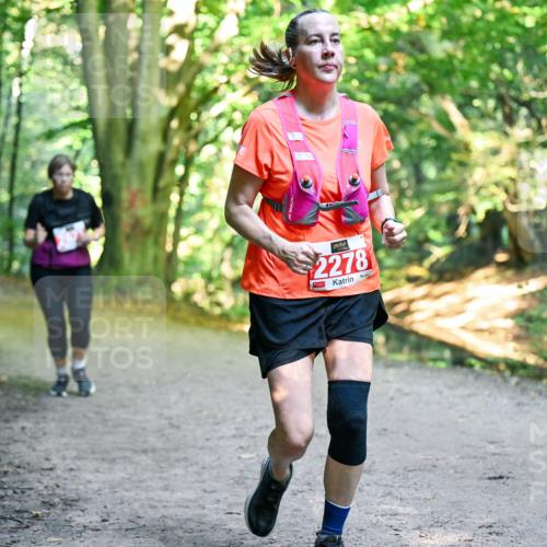 28.09.2025 - 33. Volkslauf durch das schöne Alstertal Dr. Thomas Lammeyer http://msf.ph/oto/8956352 28.09.2025 10:44:41 Laufen 2278 meine-sportfotos.de