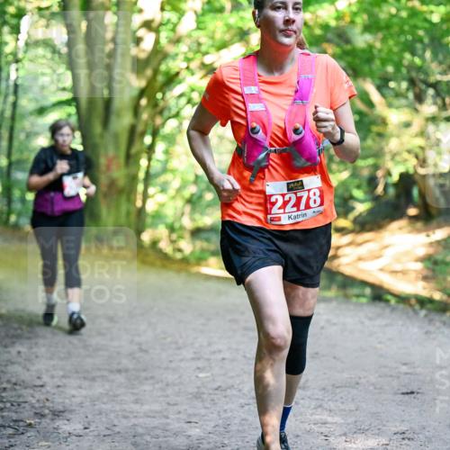 28.09.2025 - 33. Volkslauf durch das schöne Alstertal Dr. Thomas Lammeyer http://msf.ph/oto/8956353 28.09.2025 10:44:41 Laufen 2278 meine-sportfotos.de