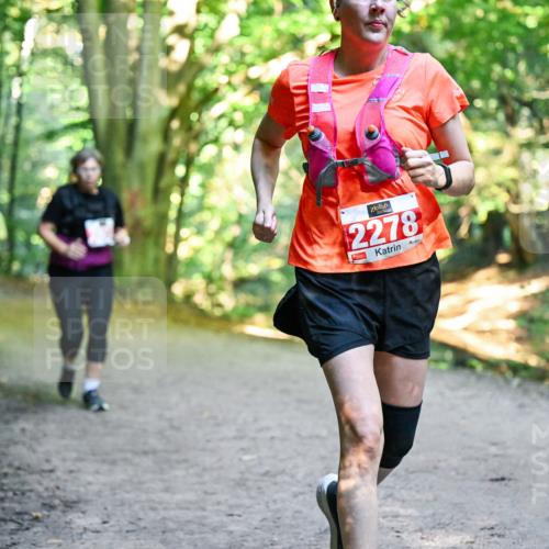 28.09.2025 - 33. Volkslauf durch das schöne Alstertal Dr. Thomas Lammeyer http://msf.ph/oto/8956354 28.09.2025 10:44:41 Laufen 2278 meine-sportfotos.de