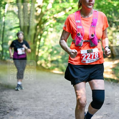 28.09.2025 - 33. Volkslauf durch das schöne Alstertal Dr. Thomas Lammeyer http://msf.ph/oto/8956355 28.09.2025 10:44:41 Laufen 2278 meine-sportfotos.de
