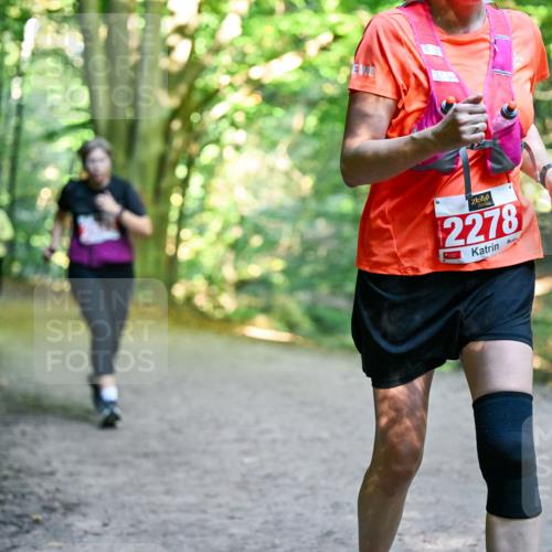 28.09.2025 - 33. Volkslauf durch das schöne Alstertal Dr. Thomas Lammeyer http://msf.ph/oto/8956356 28.09.2025 10:44:41 Laufen 2278 meine-sportfotos.de