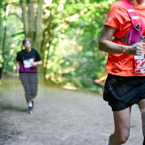 28.09.2025 - 33. Volkslauf durch das schöne Alstertal Dr. Thomas Lammeyer http://msf.ph/oto/8956357 28.09.2025 10:44:42 Laufen 2278 meine-sportfotos.de