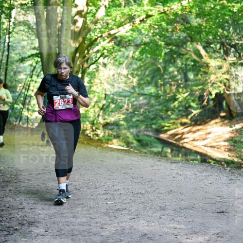 28.09.2025 - 33. Volkslauf durch das schöne Alstertal Dr. Thomas Lammeyer http://msf.ph/oto/8956359 28.09.2025 10:44:42 Laufen 2623 meine-sportfotos.de