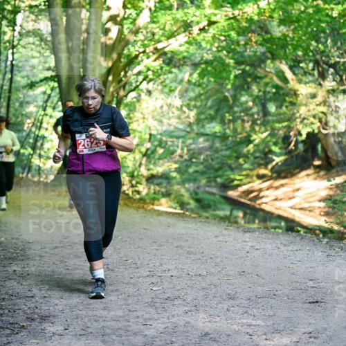28.09.2025 - 33. Volkslauf durch das schöne Alstertal Dr. Thomas Lammeyer http://msf.ph/oto/8956360 28.09.2025 10:44:42 Laufen 2625 meine-sportfotos.de