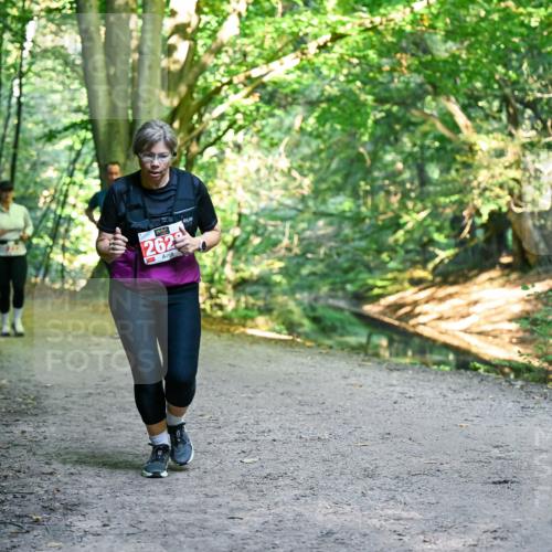 28.09.2025 - 33. Volkslauf durch das schöne Alstertal Dr. Thomas Lammeyer http://msf.ph/oto/8956361 28.09.2025 10:44:42 Laufen 262 meine-sportfotos.de