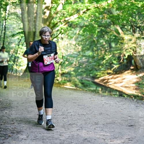 28.09.2025 - 33. Volkslauf durch das schöne Alstertal Dr. Thomas Lammeyer http://msf.ph/oto/8956362 28.09.2025 10:44:42 Laufen 2623 meine-sportfotos.de