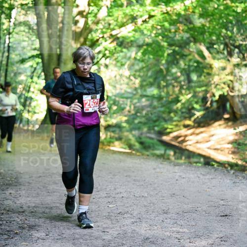 28.09.2025 - 33. Volkslauf durch das schöne Alstertal Dr. Thomas Lammeyer http://msf.ph/oto/8956363 28.09.2025 10:44:43 Laufen 2623 meine-sportfotos.de