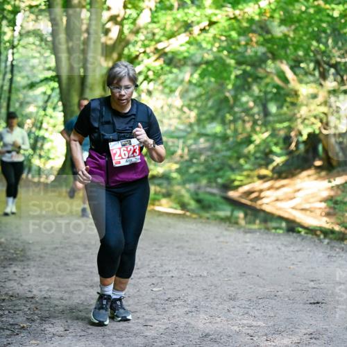 28.09.2025 - 33. Volkslauf durch das schöne Alstertal Dr. Thomas Lammeyer http://msf.ph/oto/8956364 28.09.2025 10:44:43 Laufen 2623 meine-sportfotos.de