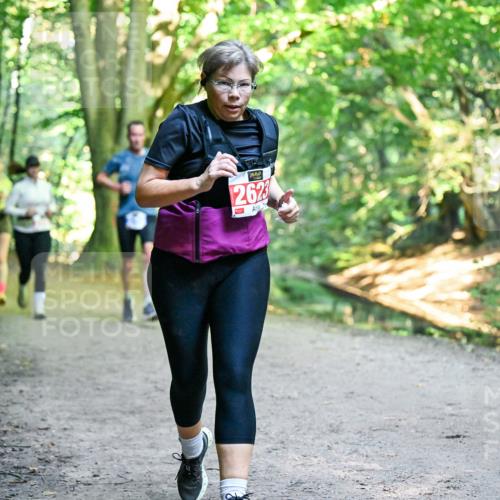 28.09.2025 - 33. Volkslauf durch das schöne Alstertal Dr. Thomas Lammeyer http://msf.ph/oto/8956369 28.09.2025 10:44:43 Laufen 2623 meine-sportfotos.de