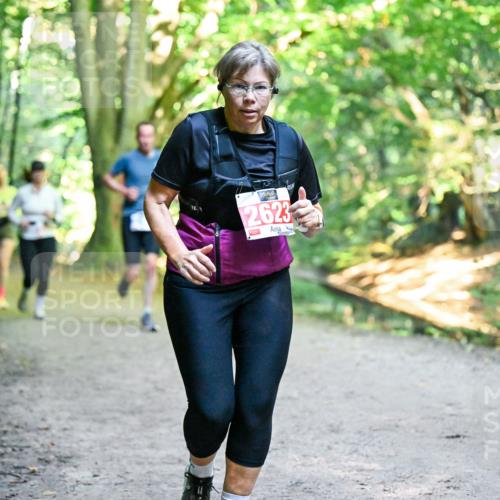 28.09.2025 - 33. Volkslauf durch das schöne Alstertal Dr. Thomas Lammeyer http://msf.ph/oto/8956370 28.09.2025 10:44:43 Laufen 2623 meine-sportfotos.de