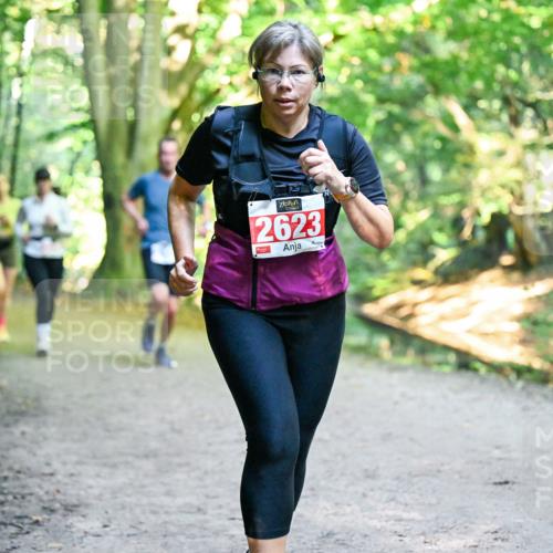 28.09.2025 - 33. Volkslauf durch das schöne Alstertal Dr. Thomas Lammeyer http://msf.ph/oto/8956372 28.09.2025 10:44:43 Laufen 2623 meine-sportfotos.de