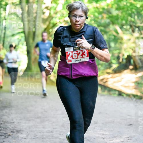 28.09.2025 - 33. Volkslauf durch das schöne Alstertal Dr. Thomas Lammeyer http://msf.ph/oto/8956373 28.09.2025 10:44:44 Laufen 2623 meine-sportfotos.de