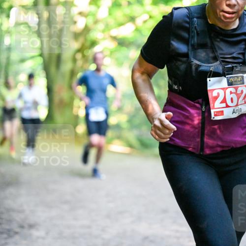 28.09.2025 - 33. Volkslauf durch das schöne Alstertal Dr. Thomas Lammeyer http://msf.ph/oto/8956377 28.09.2025 10:44:44 Laufen 2623 meine-sportfotos.de