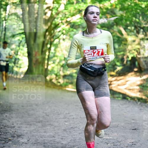 28.09.2025 - 33. Volkslauf durch das schöne Alstertal Dr. Thomas Lammeyer http://msf.ph/oto/8956403 28.09.2025 10:44:49 Laufen 2527 meine-sportfotos.de