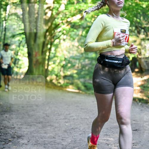 28.09.2025 - 33. Volkslauf durch das schöne Alstertal Dr. Thomas Lammeyer http://msf.ph/oto/8956404 28.09.2025 10:44:49 Laufen 771 meine-sportfotos.de