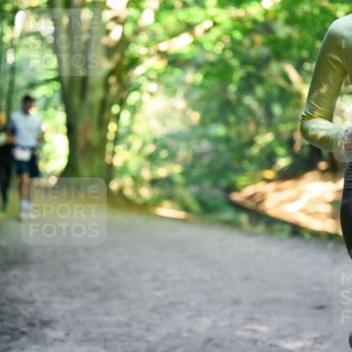 28.09.2025 - 33. Volkslauf durch das schöne Alstertal Dr. Thomas Lammeyer http://msf.ph/oto/8956405 28.09.2025 10:44:49 Laufen 2527, 411 meine-sportfotos.de