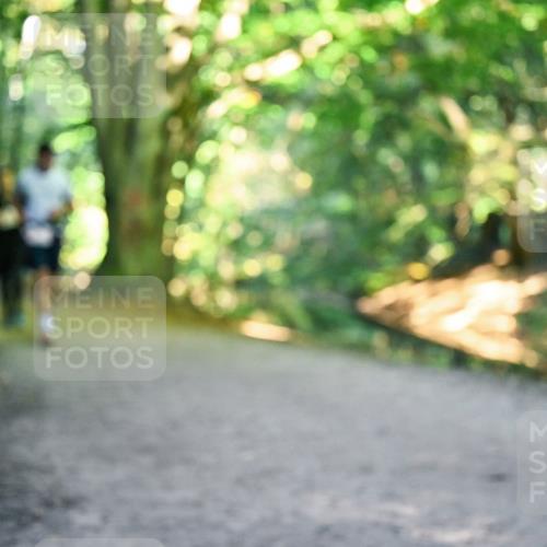 28.09.2025 - 33. Volkslauf durch das schöne Alstertal Dr. Thomas Lammeyer http://msf.ph/oto/8956406 28.09.2025 10:44:50 Laufen  meine-sportfotos.de
