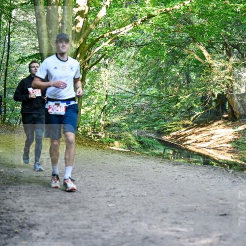 28.09.2025 - 33. Volkslauf durch das schöne Alstertal Dr. Thomas Lammeyer http://msf.ph/oto/8956408 28.09.2025 10:44:52 Laufen 2434, 2040 meine-sportfotos.de