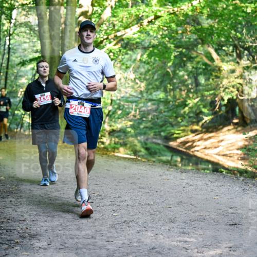 28.09.2025 - 33. Volkslauf durch das schöne Alstertal Dr. Thomas Lammeyer http://msf.ph/oto/8956412 28.09.2025 10:44:53 Laufen 2434, 2040 meine-sportfotos.de