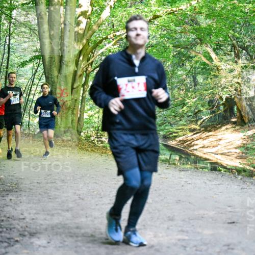 28.09.2025 - 33. Volkslauf durch das schöne Alstertal Dr. Thomas Lammeyer http://msf.ph/oto/8956424 28.09.2025 10:44:55 Laufen 300, 3924 meine-sportfotos.de