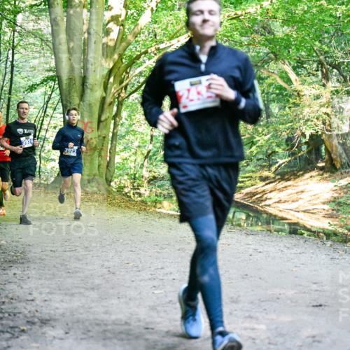 28.09.2025 - 33. Volkslauf durch das schöne Alstertal Dr. Thomas Lammeyer http://msf.ph/oto/8956425 28.09.2025 10:44:55 Laufen 300, 3924, 3923 meine-sportfotos.de