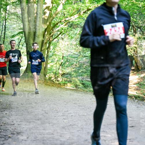 28.09.2025 - 33. Volkslauf durch das schöne Alstertal Dr. Thomas Lammeyer http://msf.ph/oto/8956429 28.09.2025 10:44:55 Laufen 3005, 3924, 3923 meine-sportfotos.de