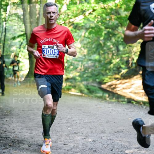 28.09.2025 - 33. Volkslauf durch das schöne Alstertal Dr. Thomas Lammeyer http://msf.ph/oto/8956446 28.09.2025 10:44:58 Laufen 3005, 392 meine-sportfotos.de