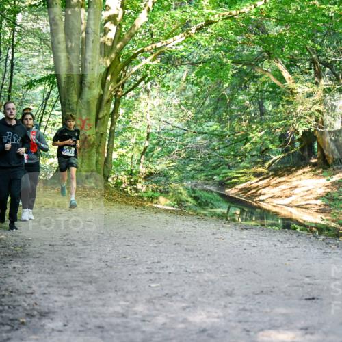 28.09.2025 - 33. Volkslauf durch das schöne Alstertal Dr. Thomas Lammeyer http://msf.ph/oto/8956451 28.09.2025 10:45:00 Laufen 2426, 3939 meine-sportfotos.de