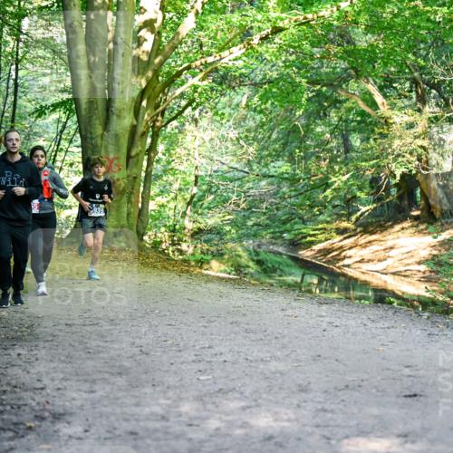 28.09.2025 - 33. Volkslauf durch das schöne Alstertal Dr. Thomas Lammeyer http://msf.ph/oto/8956452 28.09.2025 10:45:00 Laufen 939 meine-sportfotos.de