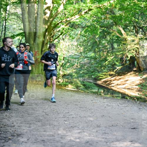 28.09.2025 - 33. Volkslauf durch das schöne Alstertal Dr. Thomas Lammeyer http://msf.ph/oto/8956458 28.09.2025 10:45:01 Laufen 165, 5939 meine-sportfotos.de