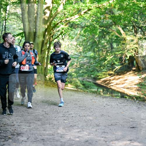 28.09.2025 - 33. Volkslauf durch das schöne Alstertal Dr. Thomas Lammeyer http://msf.ph/oto/8956461 28.09.2025 10:45:02 Laufen 2165 meine-sportfotos.de