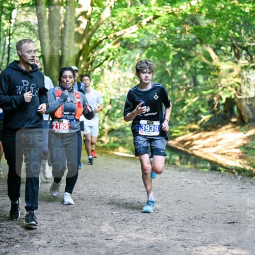 28.09.2025 - 33. Volkslauf durch das schöne Alstertal Dr. Thomas Lammeyer http://msf.ph/oto/8956466 28.09.2025 10:45:02 Laufen 2165, 3939 meine-sportfotos.de