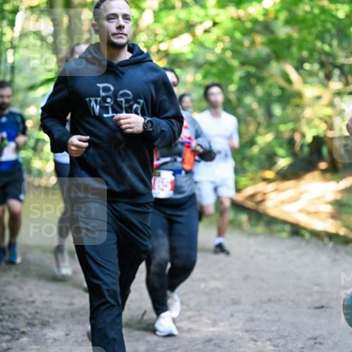 28.09.2025 - 33. Volkslauf durch das schöne Alstertal Dr. Thomas Lammeyer http://msf.ph/oto/8956475 28.09.2025 10:45:03 Laufen  meine-sportfotos.de