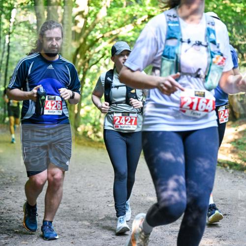 28.09.2025 - 33. Volkslauf durch das schöne Alstertal Dr. Thomas Lammeyer http://msf.ph/oto/8956486 28.09.2025 10:45:05 Laufen 426, 2427, 2164, 24 meine-sportfotos.de