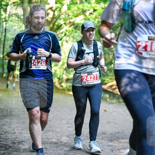 28.09.2025 - 33. Volkslauf durch das schöne Alstertal Dr. Thomas Lammeyer http://msf.ph/oto/8956489 28.09.2025 10:45:06 Laufen 2426, 2427, 2164 meine-sportfotos.de