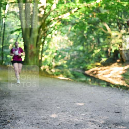 28.09.2025 - 33. Volkslauf durch das schöne Alstertal Dr. Thomas Lammeyer http://msf.ph/oto/8956514 28.09.2025 10:45:10 Laufen 340 meine-sportfotos.de