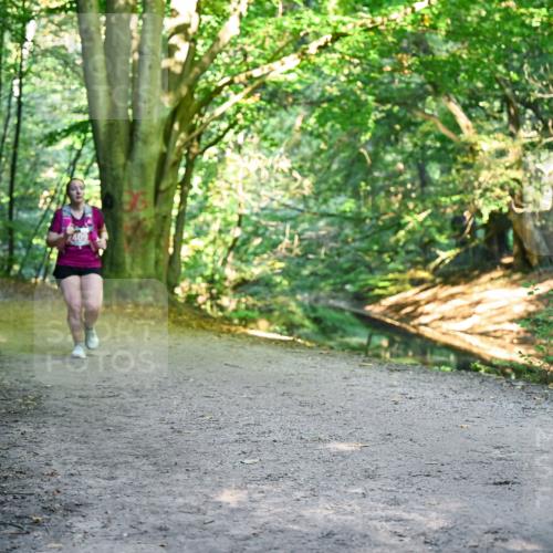 28.09.2025 - 33. Volkslauf durch das schöne Alstertal Dr. Thomas Lammeyer http://msf.ph/oto/8956515 28.09.2025 10:45:10 Laufen 409 meine-sportfotos.de