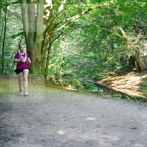 28.09.2025 - 33. Volkslauf durch das schöne Alstertal Dr. Thomas Lammeyer http://msf.ph/oto/8956516 28.09.2025 10:45:10 Laufen 3934, 2409 meine-sportfotos.de