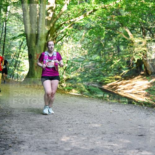28.09.2025 - 33. Volkslauf durch das schöne Alstertal Dr. Thomas Lammeyer http://msf.ph/oto/8956519 28.09.2025 10:45:12 Laufen 2409 meine-sportfotos.de