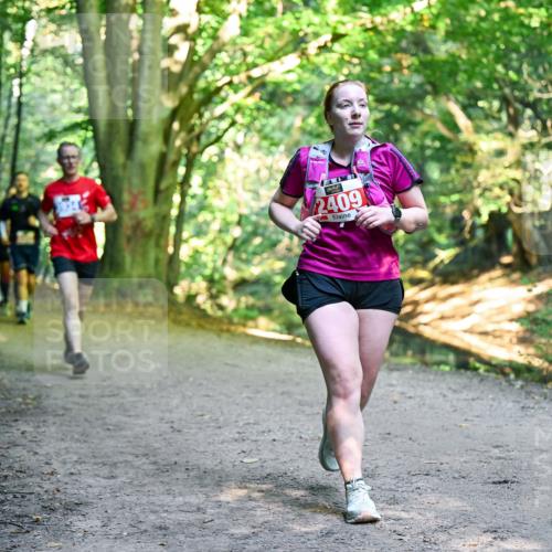 28.09.2025 - 33. Volkslauf durch das schöne Alstertal Dr. Thomas Lammeyer http://msf.ph/oto/8956533 28.09.2025 10:45:14 Laufen 2409 meine-sportfotos.de