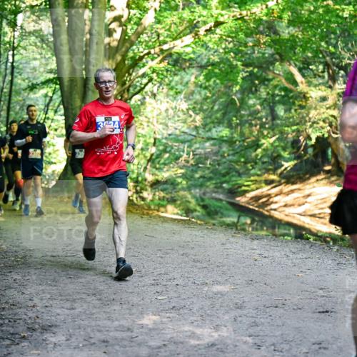 28.09.2025 - 33. Volkslauf durch das schöne Alstertal Dr. Thomas Lammeyer http://msf.ph/oto/8956539 28.09.2025 10:45:15 Laufen 409 meine-sportfotos.de