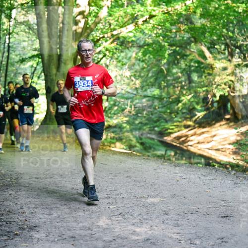 28.09.2025 - 33. Volkslauf durch das schöne Alstertal Dr. Thomas Lammeyer http://msf.ph/oto/8956541 28.09.2025 10:45:15 Laufen 3934 meine-sportfotos.de