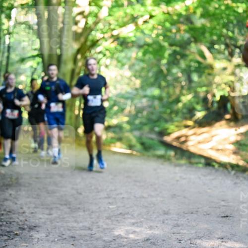 28.09.2025 - 33. Volkslauf durch das schöne Alstertal Dr. Thomas Lammeyer http://msf.ph/oto/8956555 28.09.2025 10:45:17 Laufen  meine-sportfotos.de