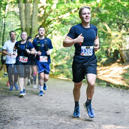 28.09.2025 - 33. Volkslauf durch das schöne Alstertal Dr. Thomas Lammeyer http://msf.ph/oto/8956567 28.09.2025 10:45:18 Laufen 2171, 3366 meine-sportfotos.de