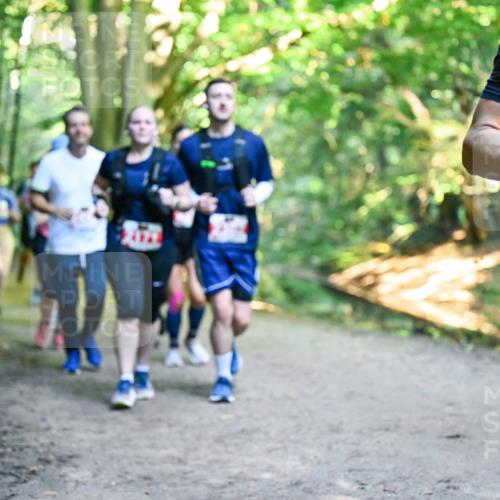 28.09.2025 - 33. Volkslauf durch das schöne Alstertal Dr. Thomas Lammeyer http://msf.ph/oto/8956571 28.09.2025 10:45:19 Laufen 336 meine-sportfotos.de