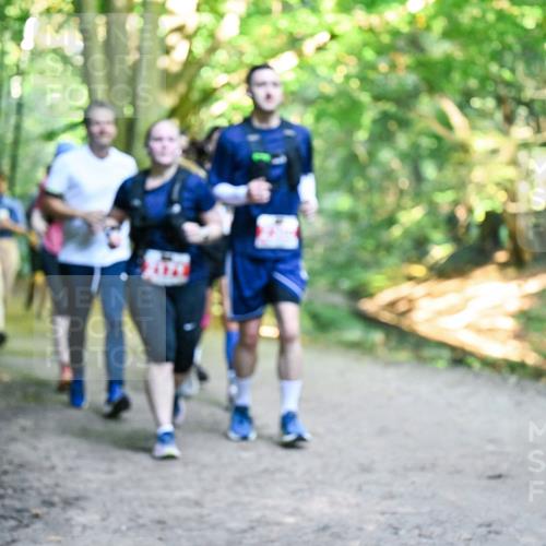 28.09.2025 - 33. Volkslauf durch das schöne Alstertal Dr. Thomas Lammeyer http://msf.ph/oto/8956573 28.09.2025 10:45:19 Laufen  meine-sportfotos.de
